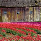Field Of View.